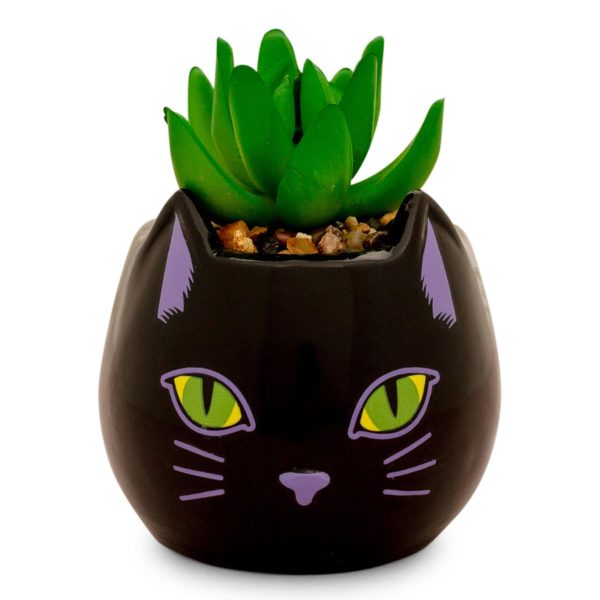 Disney Hocus Pocus  Binx Is My Boo  Ceramic Planter with Artificial Succulent Cheap